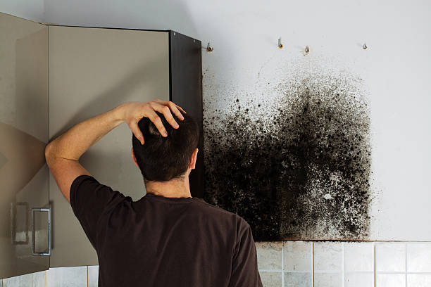Best Office Mold Removal Services  in Lakehills, TX