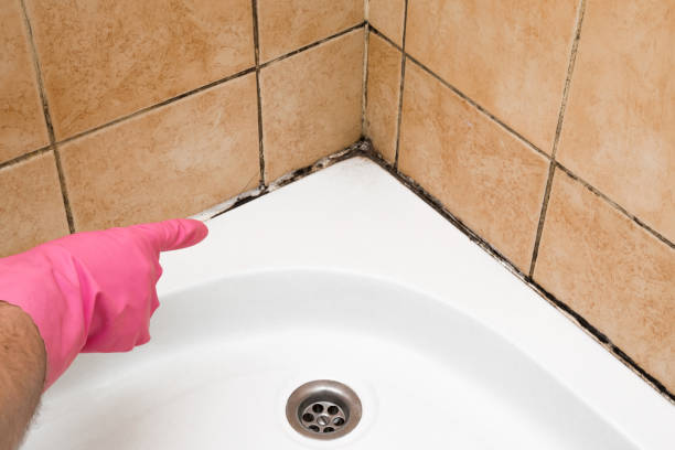 Best Local Mold Removal Service  in Lakehills, TX